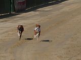 Golden Rabbit European Sandtrack-Derby Th. Ernst (150)